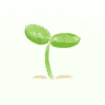 Profile picture of Kaluroos Linnaeus
